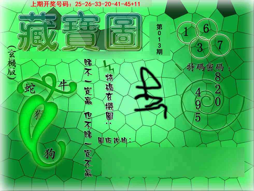 013期九龍玄机报[图]