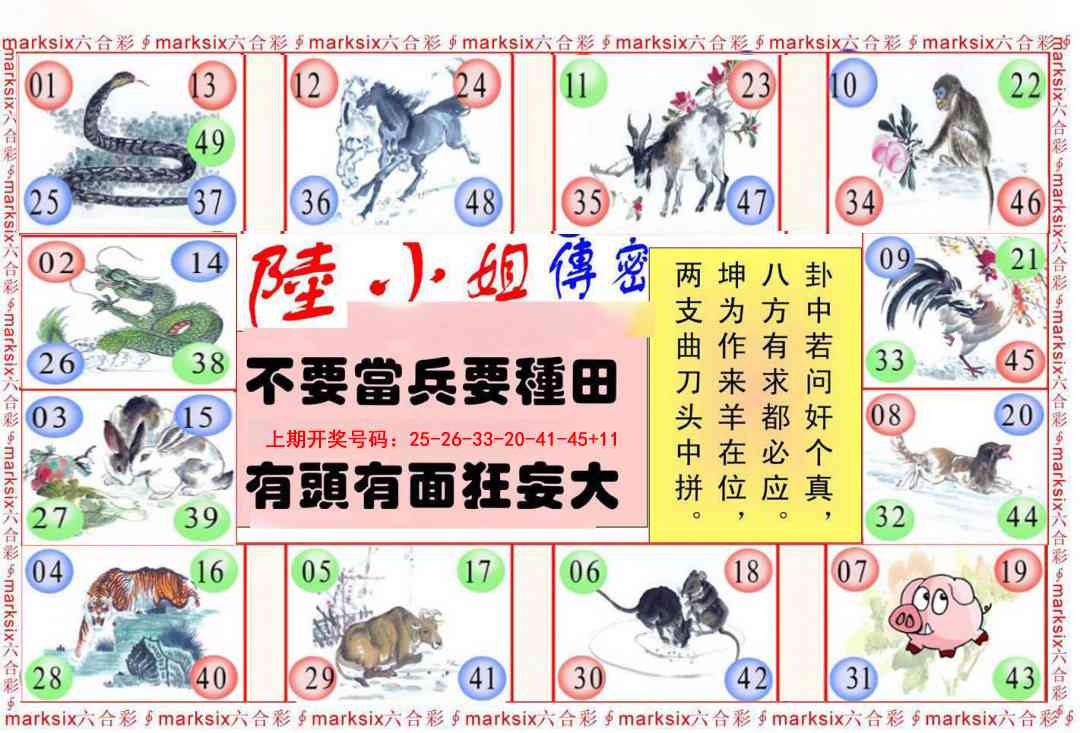 013期陆小姐传密B[图]