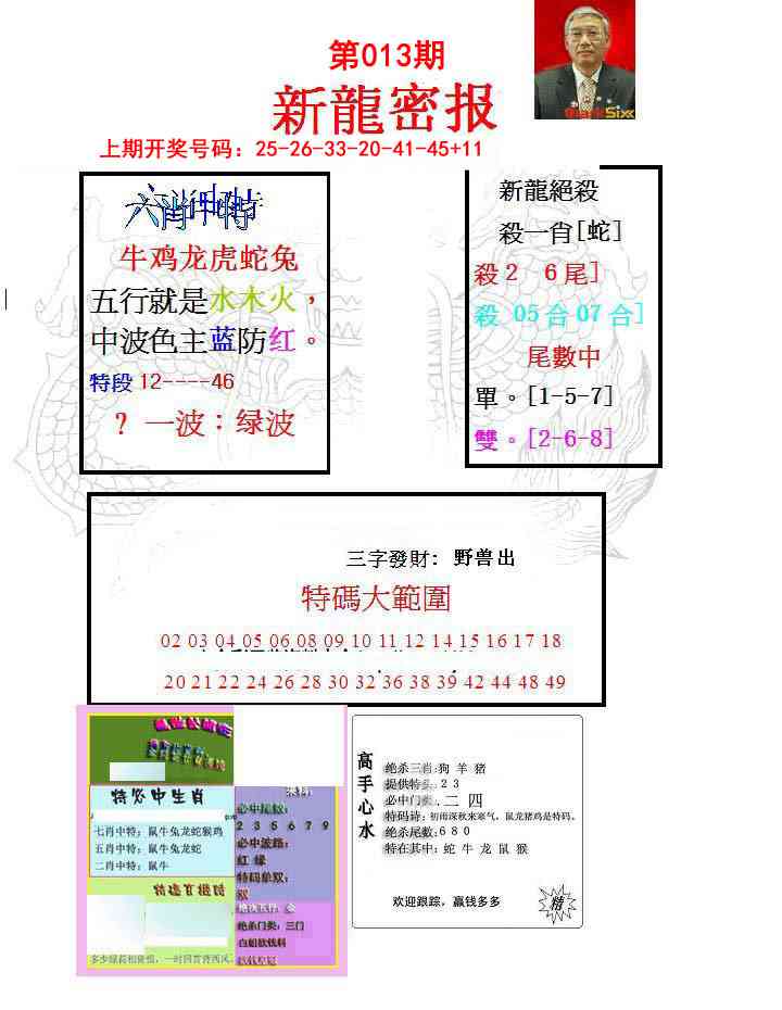 013期新龙密报[图]