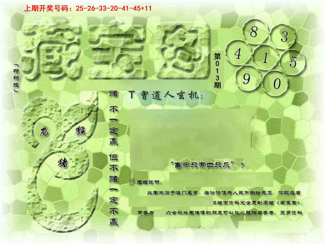 013期假新藏宝图[图]