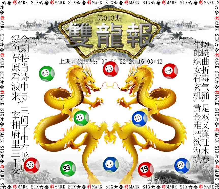 013期双龙报[图]