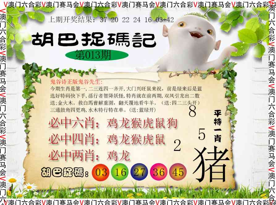 013期胡巴抓码记[图]