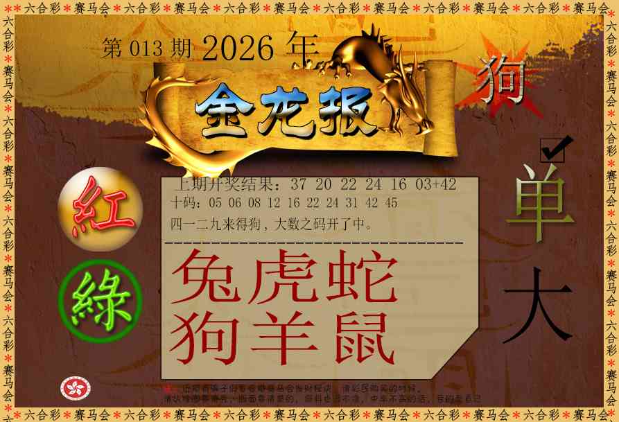 013期金龙报[图]