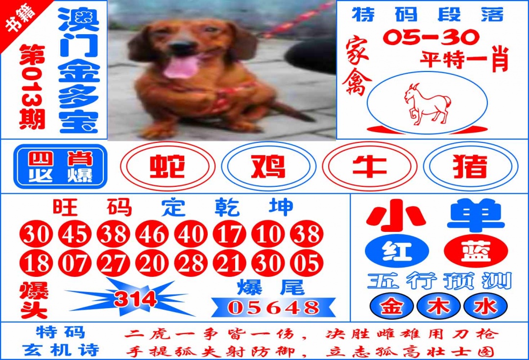 013期澳门金元宝[图]