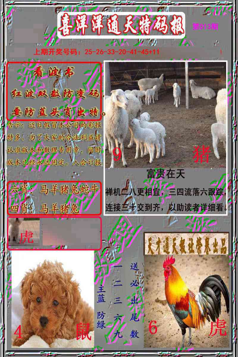 013期洋通报[图]