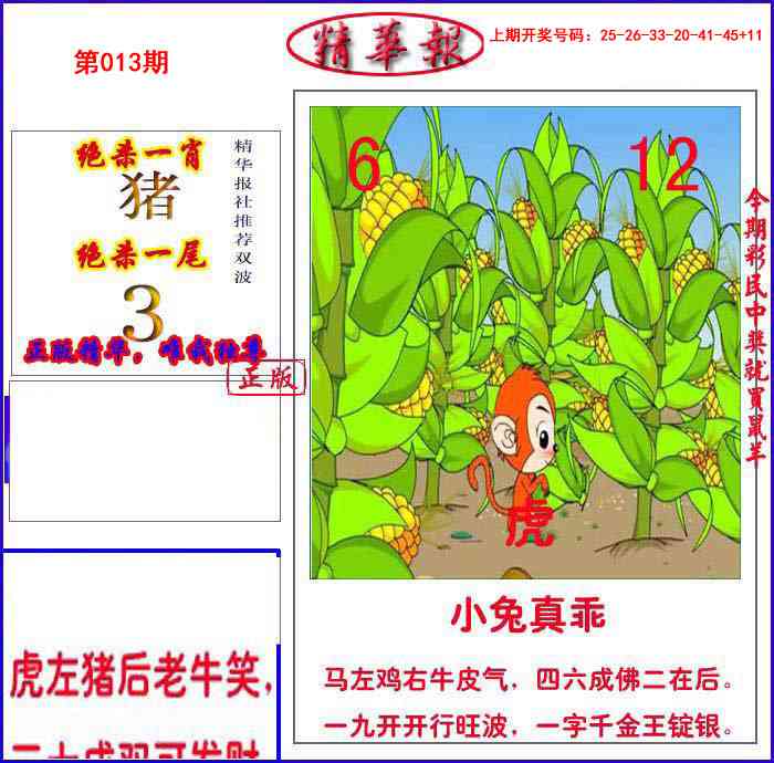 013期新精华报报[图]
