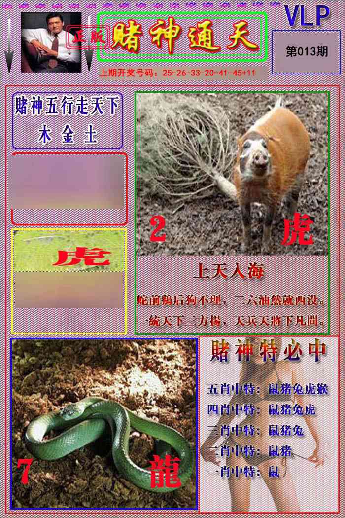 013期赌神通天报[图]