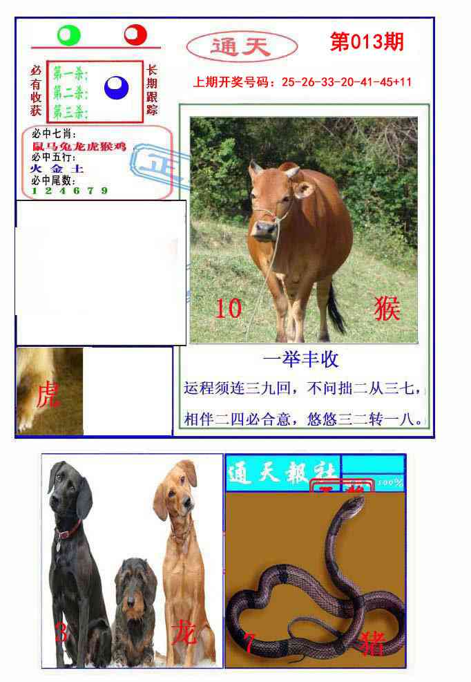 013期通天杀波图2[图]