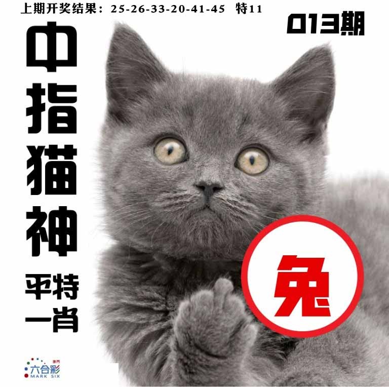 013期中指猫神[图]