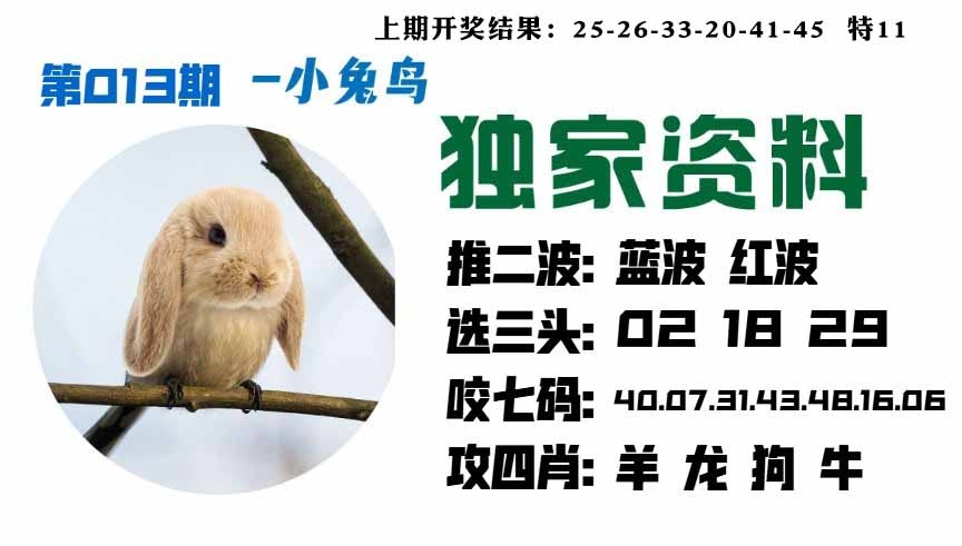 013期小兔鸟[图]